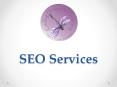 SEO Services PowerPoint PPT Presentation