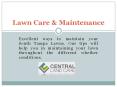 South tampa lawn care|Lawn service Tampa PowerPoint PPT Presentation