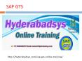 The Best SAP GTS Online Training in USA, UK, Canada. PowerPoint PPT Presentation