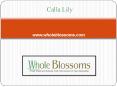 Bulk calla lilies - http://www.wholeblossoms.com/ PowerPoint PPT Presentation