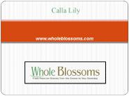 Bulk calla lilies - http://www.wholeblossoms.com/