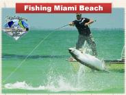 Fishing Miami Beach