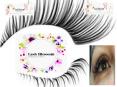 Sydney Eyelash Extensions PowerPoint PPT Presentation