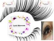 Sydney Eyelash Extensions