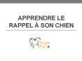 Apprendre le rappel à son chien PowerPoint PPT Presentation