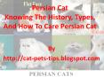 Persian Cat PowerPoint PPT Presentation