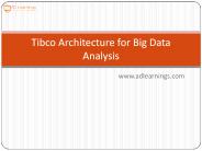 Tibco Architecture for Big Data Analysis
