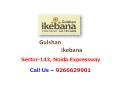 Gulshan Ikebana Sector 143 Noida Expressway – Investors Clinic