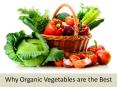 Why Organic Vegetables are the Best PowerPoint PPT Presentation