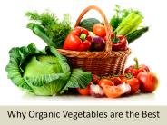 Why Organic Vegetables are the Best