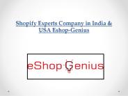 Shopify and Ecommerce Website Development Company INDIA & USA