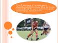 watch sports online (1) PowerPoint PPT Presentation