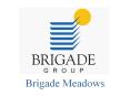 Brigade Meadows PowerPoint PPT Presentation