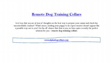 Remote dog training collars