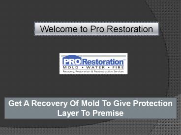 Water Recovery Services, Mold Damage Repair MA