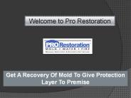 Water Recovery Services, Mold Damage Repair MA