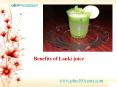 Health benefits of lauki juice or bottle guard juice PowerPoint PPT Presentation