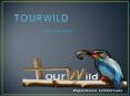 Tourwild PowerPoint PPT Presentation