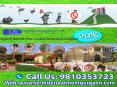 Superb Termite Pest Control Services in Gurgaon 9810353723