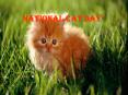 National Cat Day PowerPoint PPT Presentation