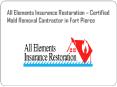 All Elements Insurance Restoration – Certified Mold Removal Contractor in Fort Pierce PowerPoint PPT Presentation