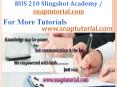 BUS 201 Apprentice tutors / snaptutorial.com PowerPoint PPT Presentation