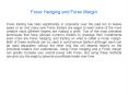 Forex Hedging and Forex Margin PowerPoint PPT Presentation