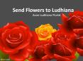 Send Flowers to Ludhiana Same Day Delivery PowerPoint PPT Presentation