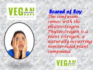 Vegan Helps Us Control Our Body Nutrition & Exercise