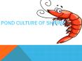 Shrimp Culture in Ponds PowerPoint PPT Presentation