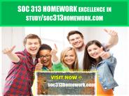 SOC 313 HOMEWORK excellence in study /soc313homework.com