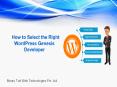 How to Select the Right WordPress Genesis Developer PowerPoint PPT Presentation