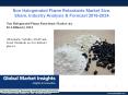 Non Halogenated Flame Retardants Market size $3.4 billion by 2024 PowerPoint PPT Presentation