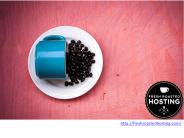 Budget Dedicated Hosting (7)