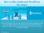 Explore how to hire dedicated wordpress developer