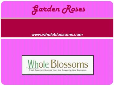 Bulk Garden Roses - www.wholeblossoms.com