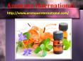 Avail 100% Pure and Supreme Quality Exotic Oil Dilutions PowerPoint PPT Presentation