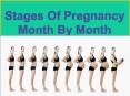 Stages Of Pregnancy Month By Month PowerPoint PPT Presentation