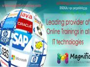 Online Training on Oracle Apps Technical  Institute