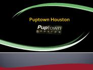 Puptown Houston