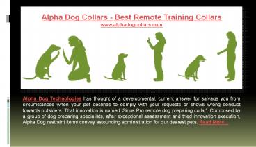 Alpha dog collars - best remote training collars