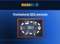 Professional SEO Services PowerPoint PPT Presentation