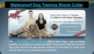 Waterproof dog training shock collar