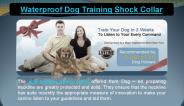 Waterproof dog training shock collar