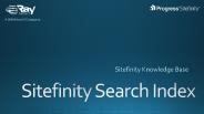 Sitefinity Search Index