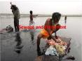 sewage treatment PowerPoint PPT Presentation