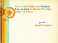 Four Host Cells and Protein Expression Systems You May Want to Know PowerPoint PPT Presentation