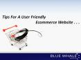 Tips For A User Friendly Ecommerce Website PowerPoint PPT Presentation