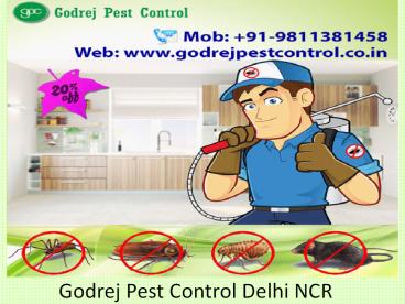 Godrej Pest Control Delhi NCR Call us at 9811381458