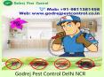 Godrej Pest Control Delhi NCR Call us at 9811381458